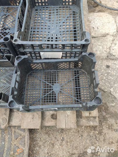 Ящики для хранения фруктов и ягод