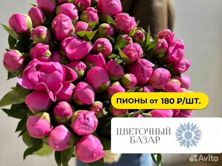 Цветы. Пионы с доставкой в Анапе