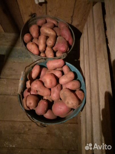 Все для дома и дачи