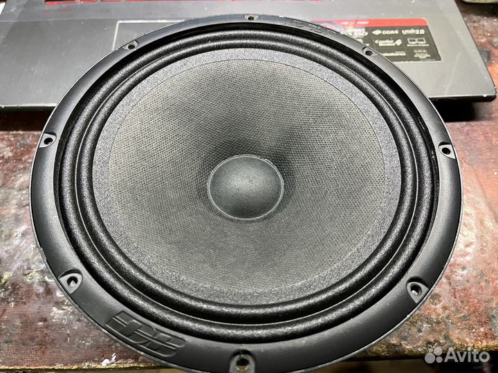 Сильвестр М81