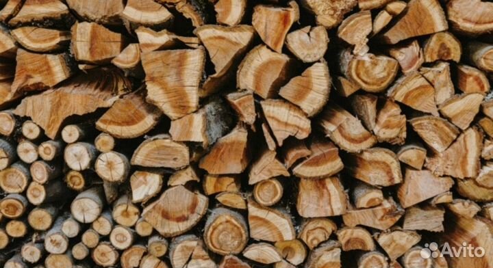 Дрова колотые дуб