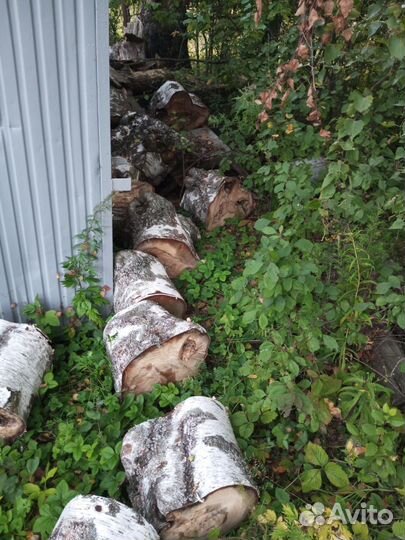 Дрова березовые не колотые