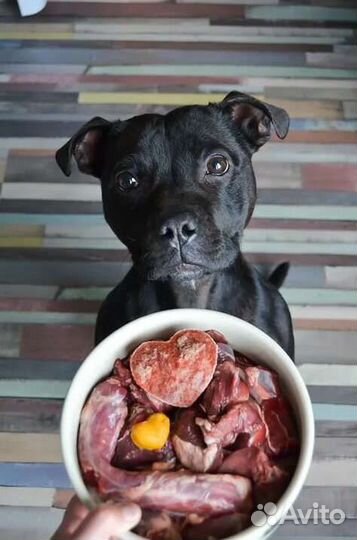 Мясо и субпродукты для собак