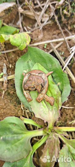 Петличный знак Кавалерия РККА Кавалерист 1920-30 г