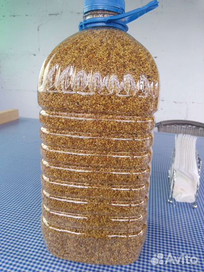 Пыльца пчелиная 2024