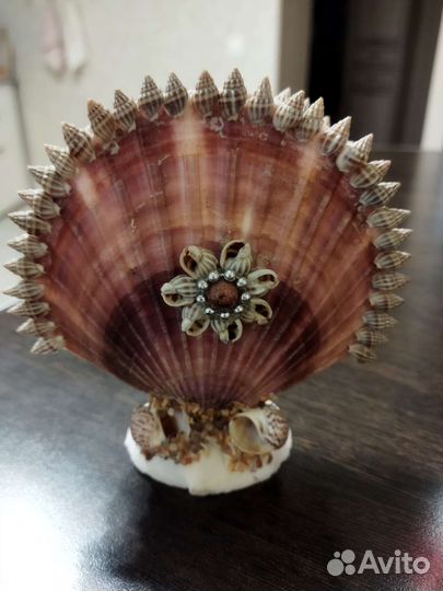 Ракушка салфетница