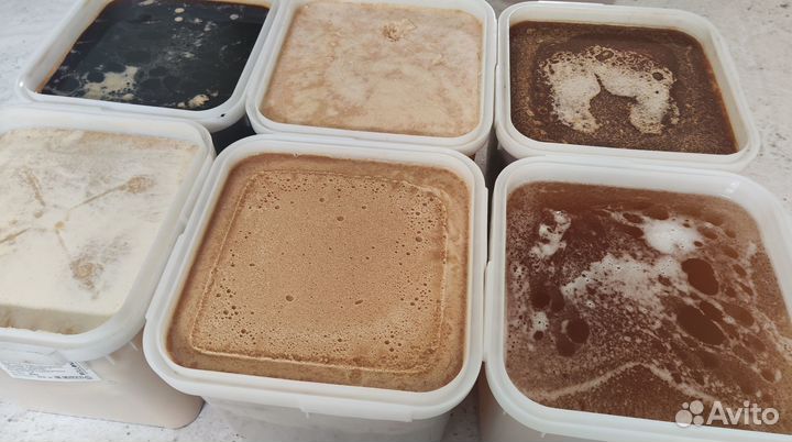 Алтайский мёд 2023 г (опт.)