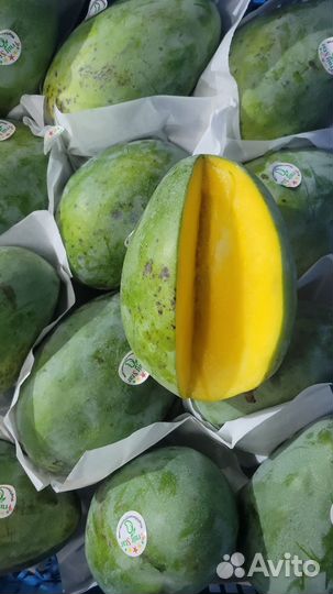 Продам манго Египет
