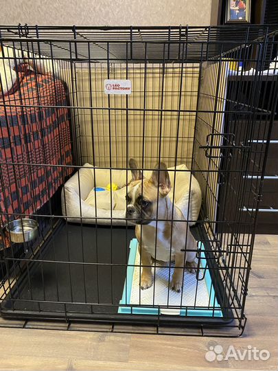 Клетка вольер для собак