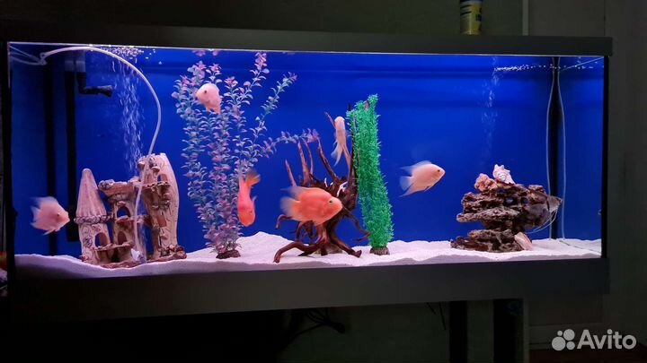 Продам аквариум 315 литров