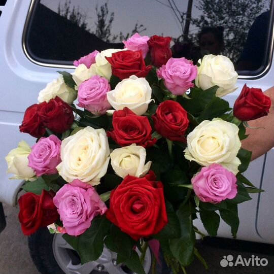 Розы 51 шт