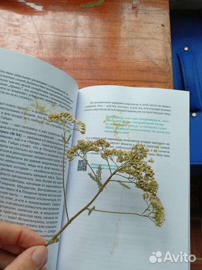 Книга Михаил Казиник 