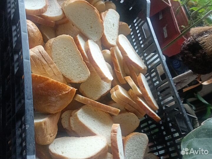 Сухой хлеб на корм животным в мешках