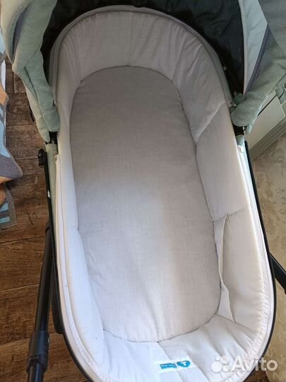 Коляска adamex zico 2в1