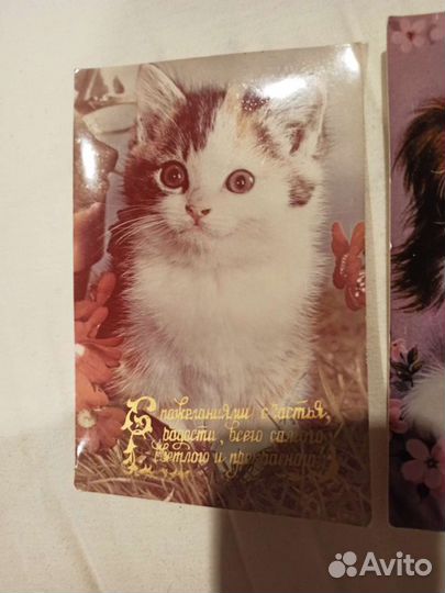 Фотооткрытки с котятами СССР