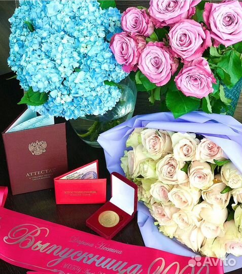 Репетитор по математике, физике и информатике