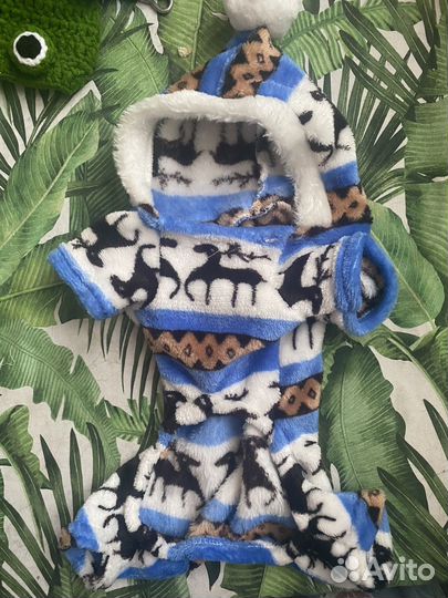 Одежда для собак