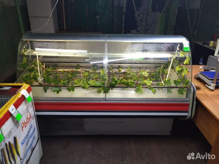 Холодильные витрины