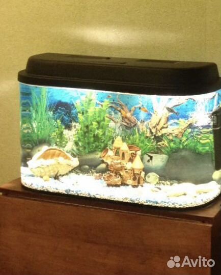 Аквариум