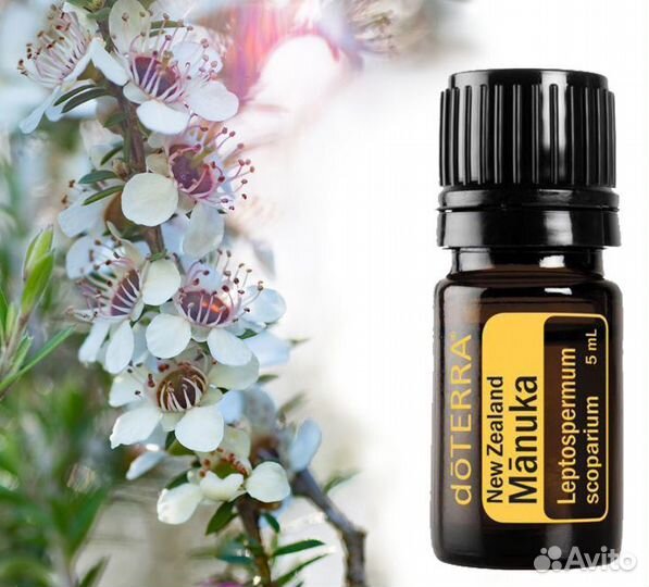 Смесь эфирных масел