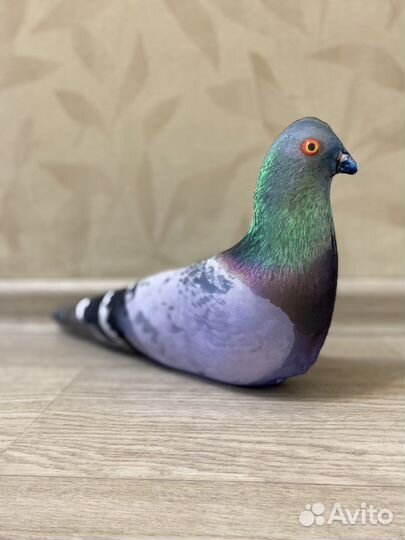 Мягкие игрушки, пакетом,голубь и мишка