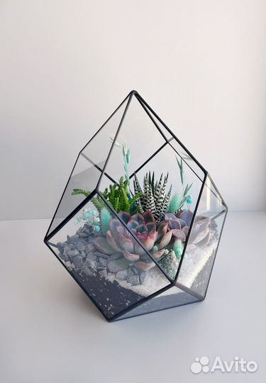 Флорариум Лотос