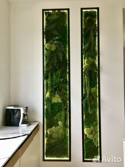 Вертикальное озеленение Мхом и Растениями