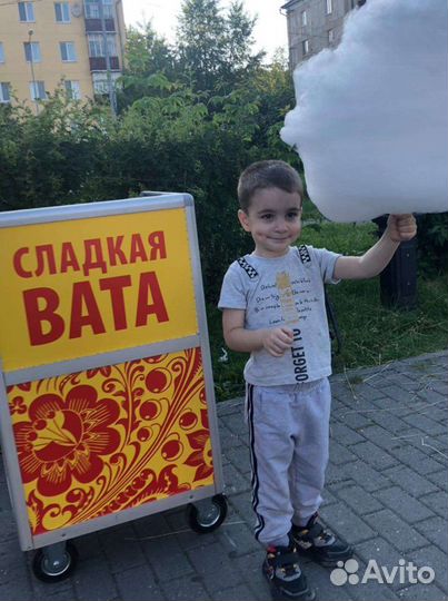 Аппарат для приготовления сахарной ваты Автономный