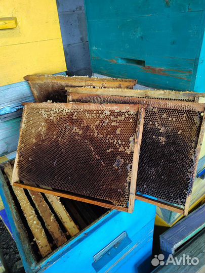 Рамки с сушью