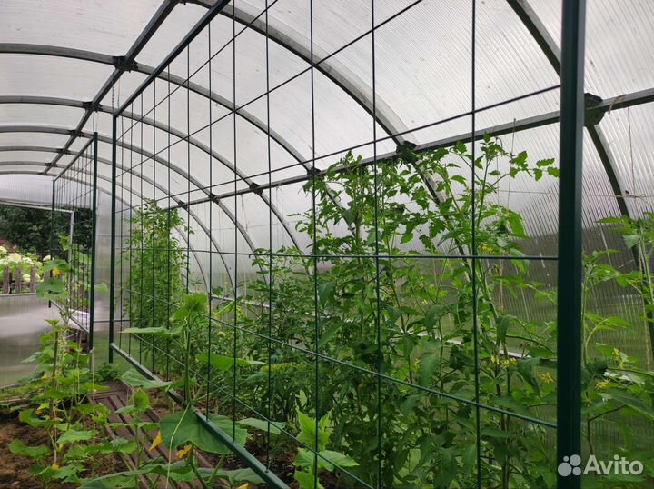 Металлическая решётка для огурцов