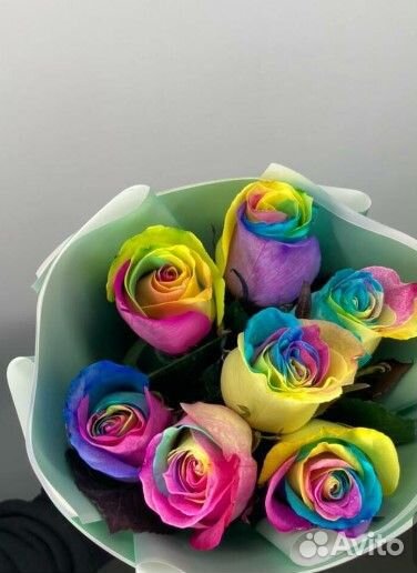 Необычные Розы 25 51 101