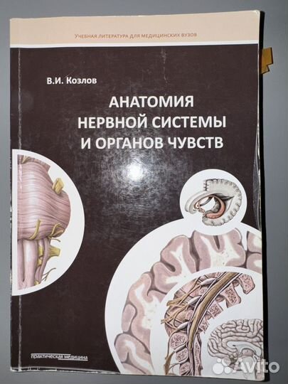 Анатомия нервной системы и органов чувств Козлов