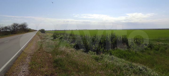 Участок 3,8 га (СНТ, ДНП)