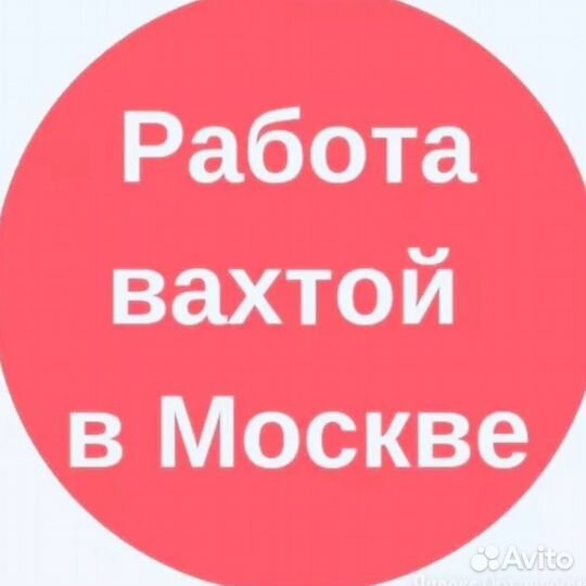 Сборщик яблок в Липецке