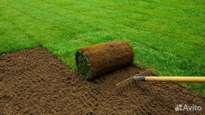 Газон рулонный