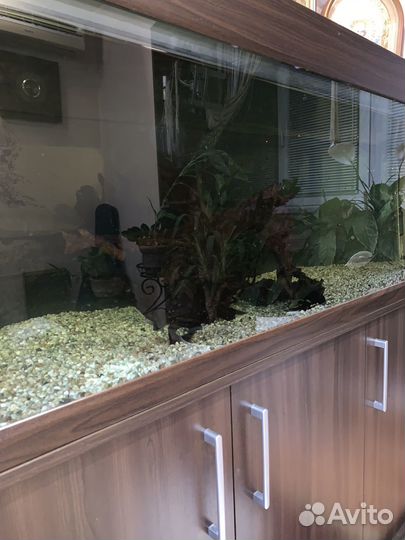 Аквариум с тумбой 350 литров