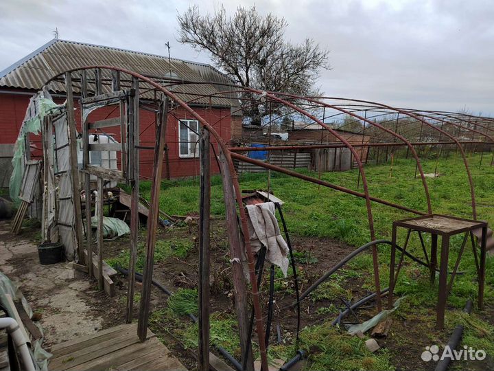 Клубничные теплицы в Санкт-Петербурге