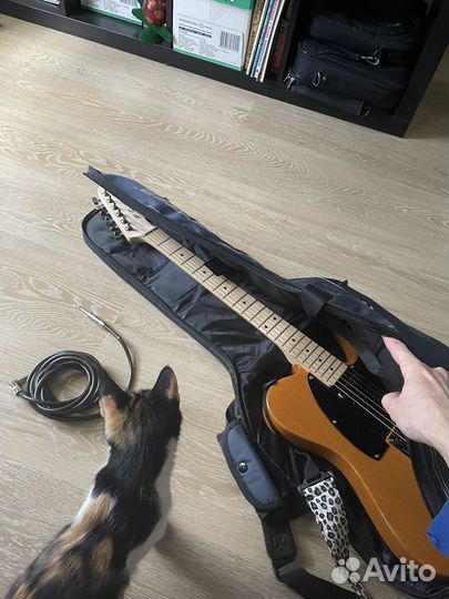 Электро гитара с комбиком
