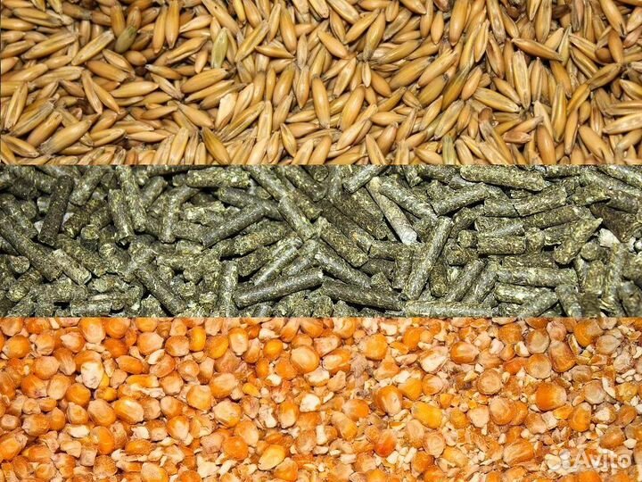 Комбикорм гранулированный для животных и птиц