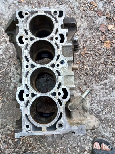 Двигатель на форт фокус 2л