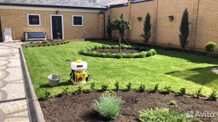 Рулонный газон и укладка