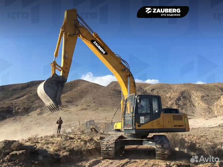 Гусеничный экскаватор Zauberg EX-250C, 2024