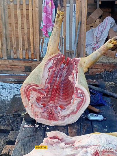 Продам мясо домашней свинины