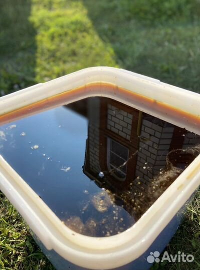 Мед Алтайское разнотравье оптом 2023