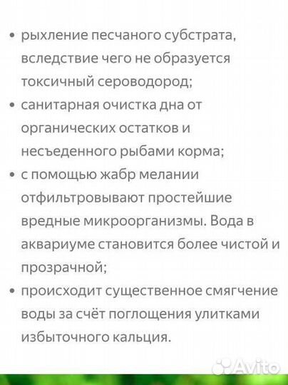 Улитки мелании