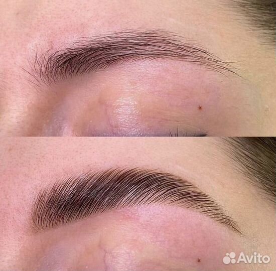 Обучение бровист. Окрашивание и архитектура