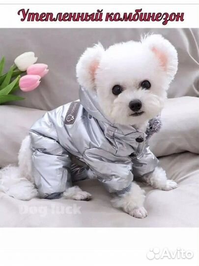 Комбинезон утепленный для мелких собак