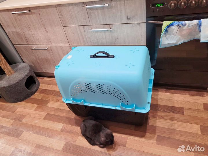 Переноска для собак большая