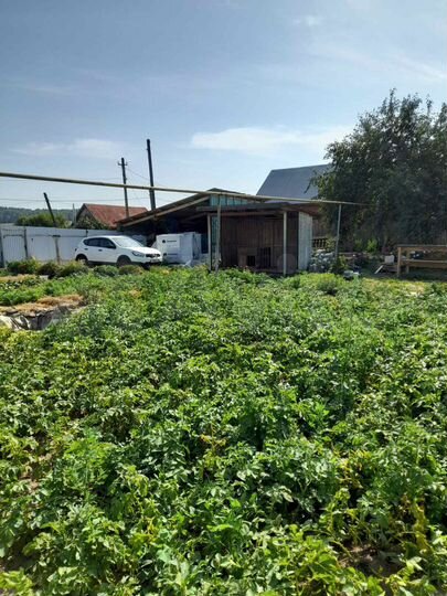 Дом 80 м² на участке 25 сот.