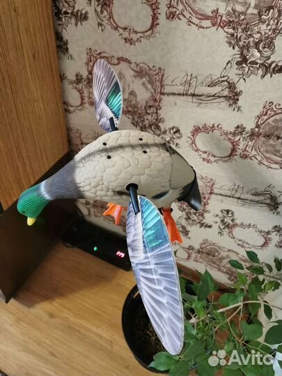 Чучело Утки Махокрыл